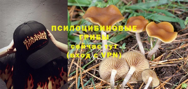 первитин Богородск