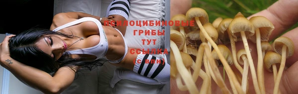 прущая мука Воткинск