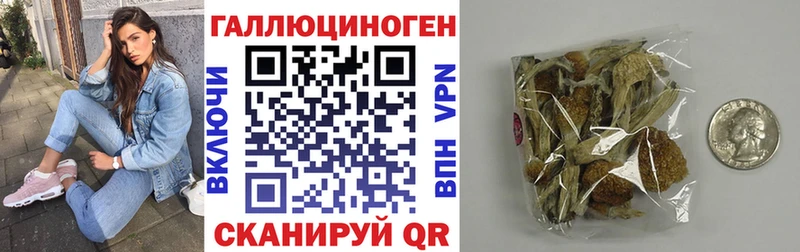 Галлюциногенные грибы MAGIC MUSHROOMS цены Гай